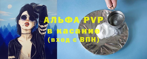 прущие грибы Арсеньев