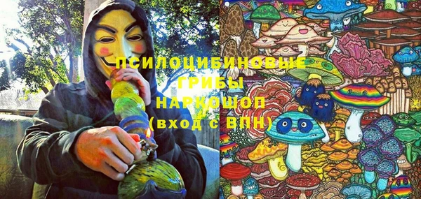 крисы Липки