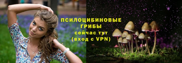 мдпв Лихославль