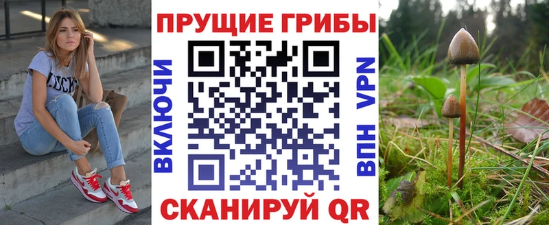 Галлюциногенные грибы GOLDEN TEACHER  blacksprut ТОР  Собинка 